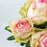 Rose 50cm (Imported) - 2 Tone Pink [10 Stems]