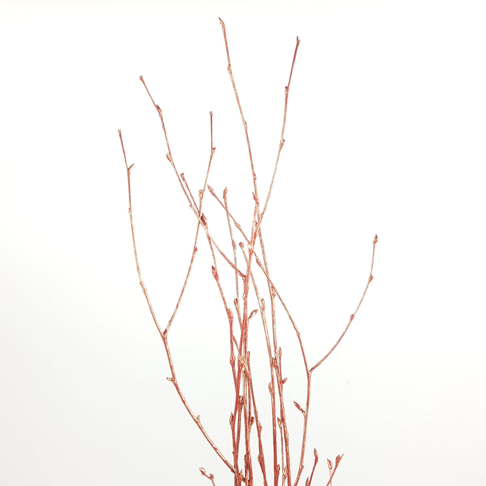 Betula - Natural Glitter