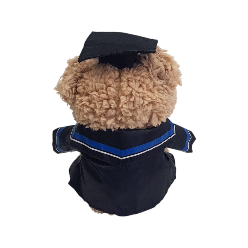 Plush Teddy with Graduation Gown 23cm