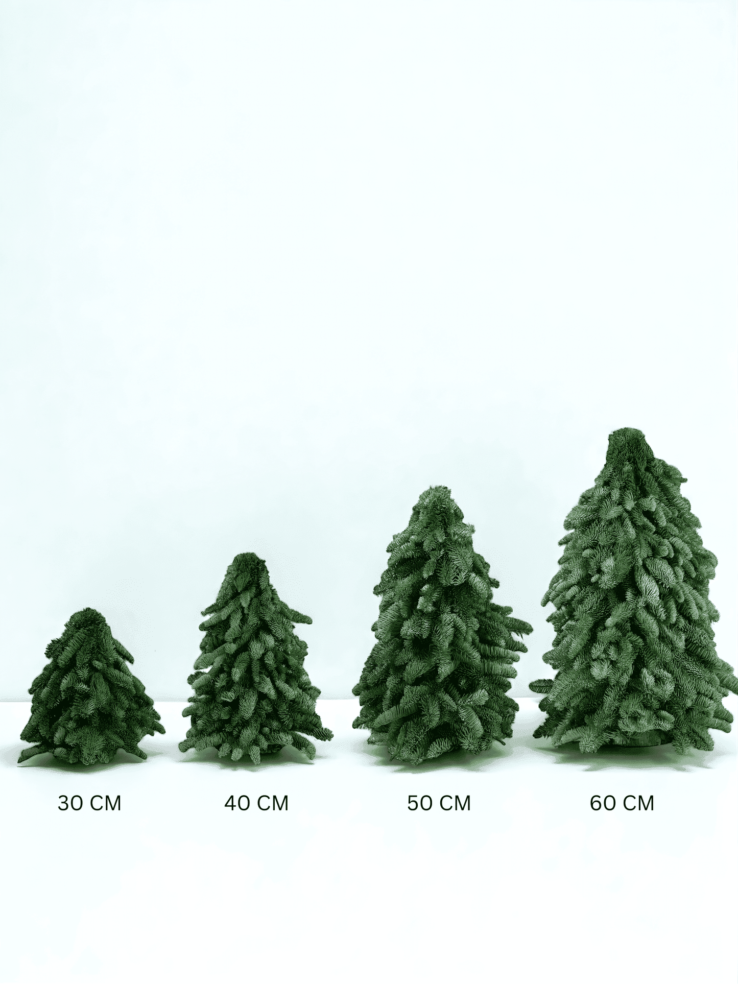 Mini Christmas Tree - Nobilis Fir (30cm)