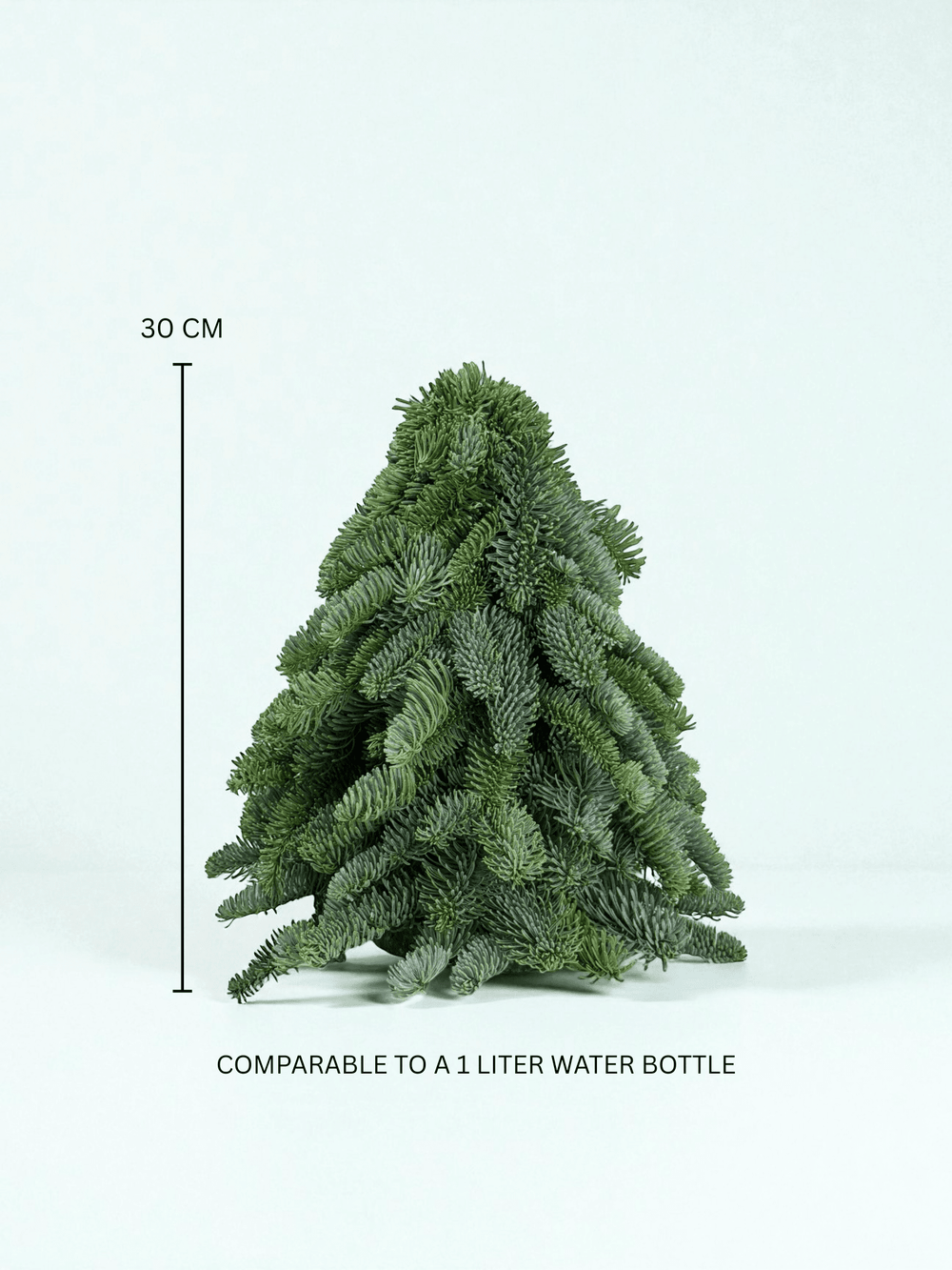 Mini Christmas Tree - Nobilis Fir (30cm)