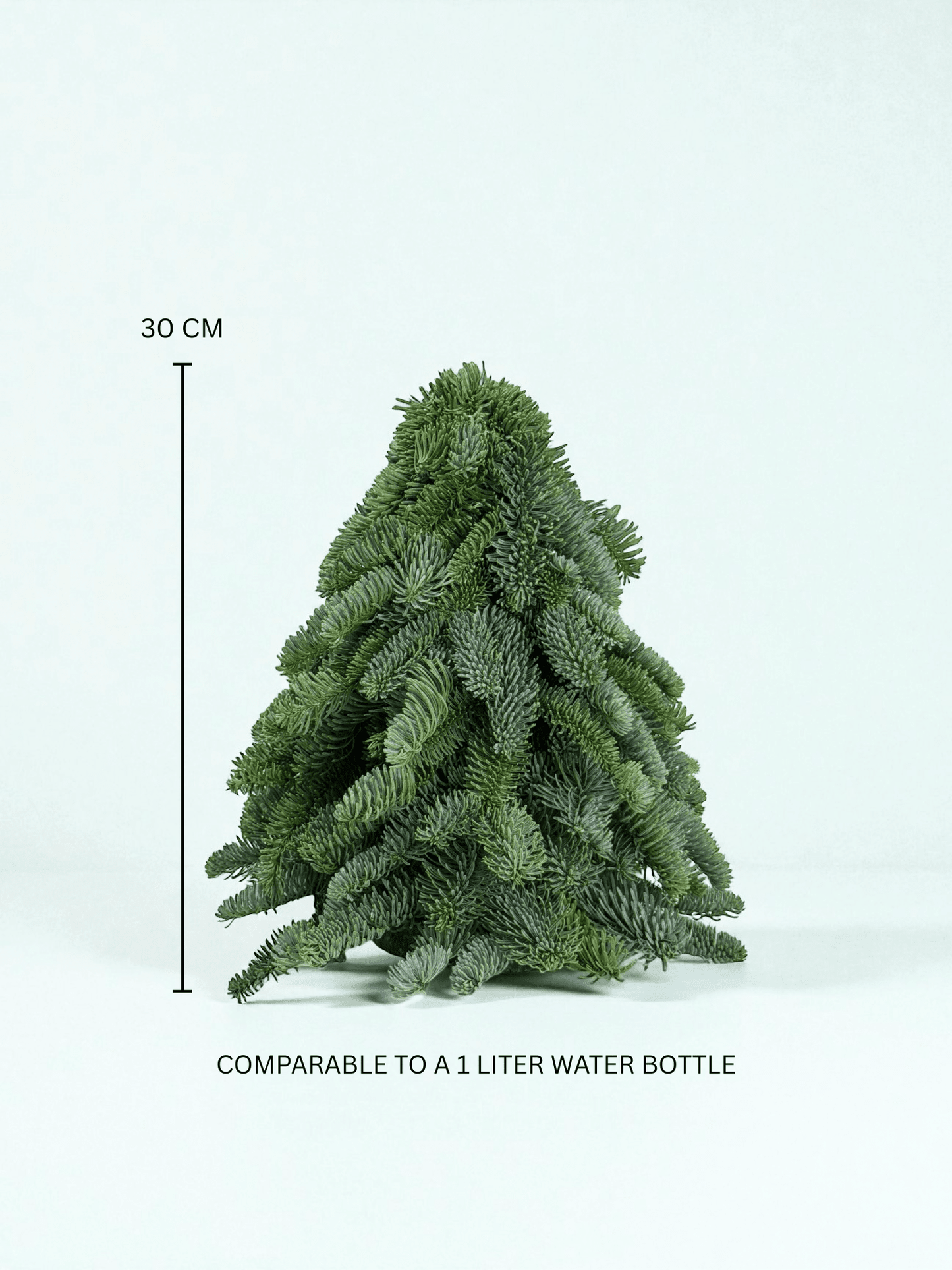 Mini Christmas Tree - Nobilis Fir (30cm)