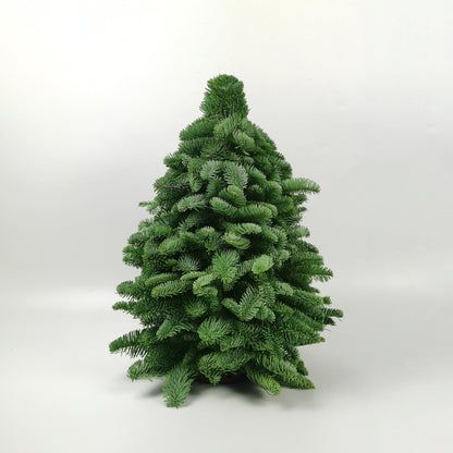 Mini Christmas Tree - Nobilis Fir (50cm)