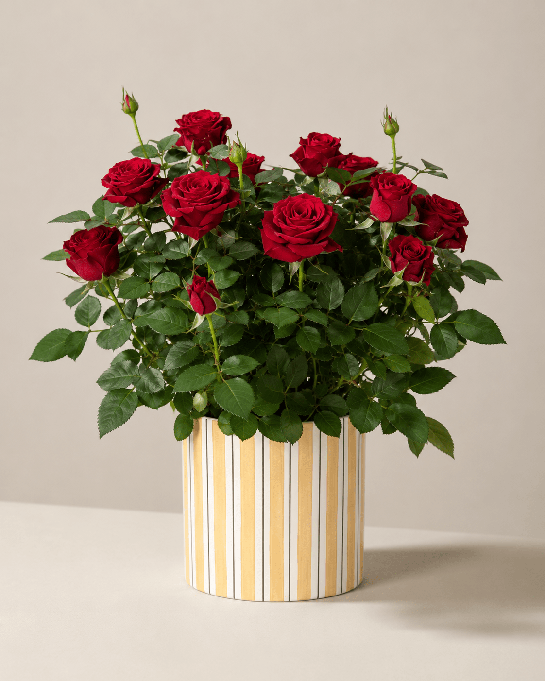 Rose Mix Arrangement - Yellow Ceramic Pot