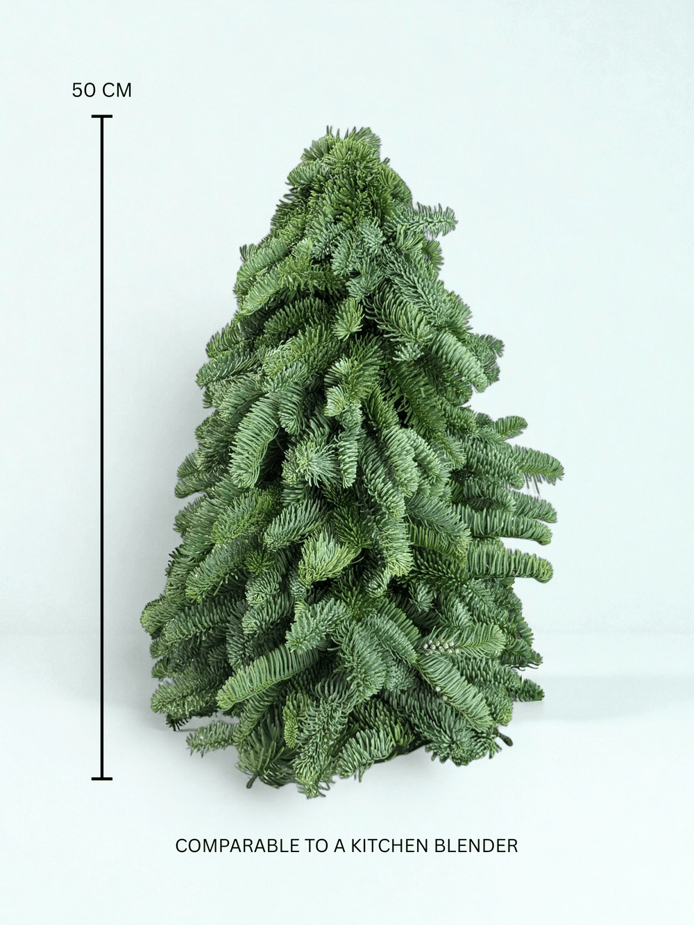 Mini Christmas Tree - Nobilis Fir (50cm)