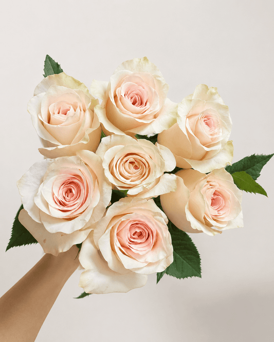 Rose - Light Peach + Cream White (10 Stems)
