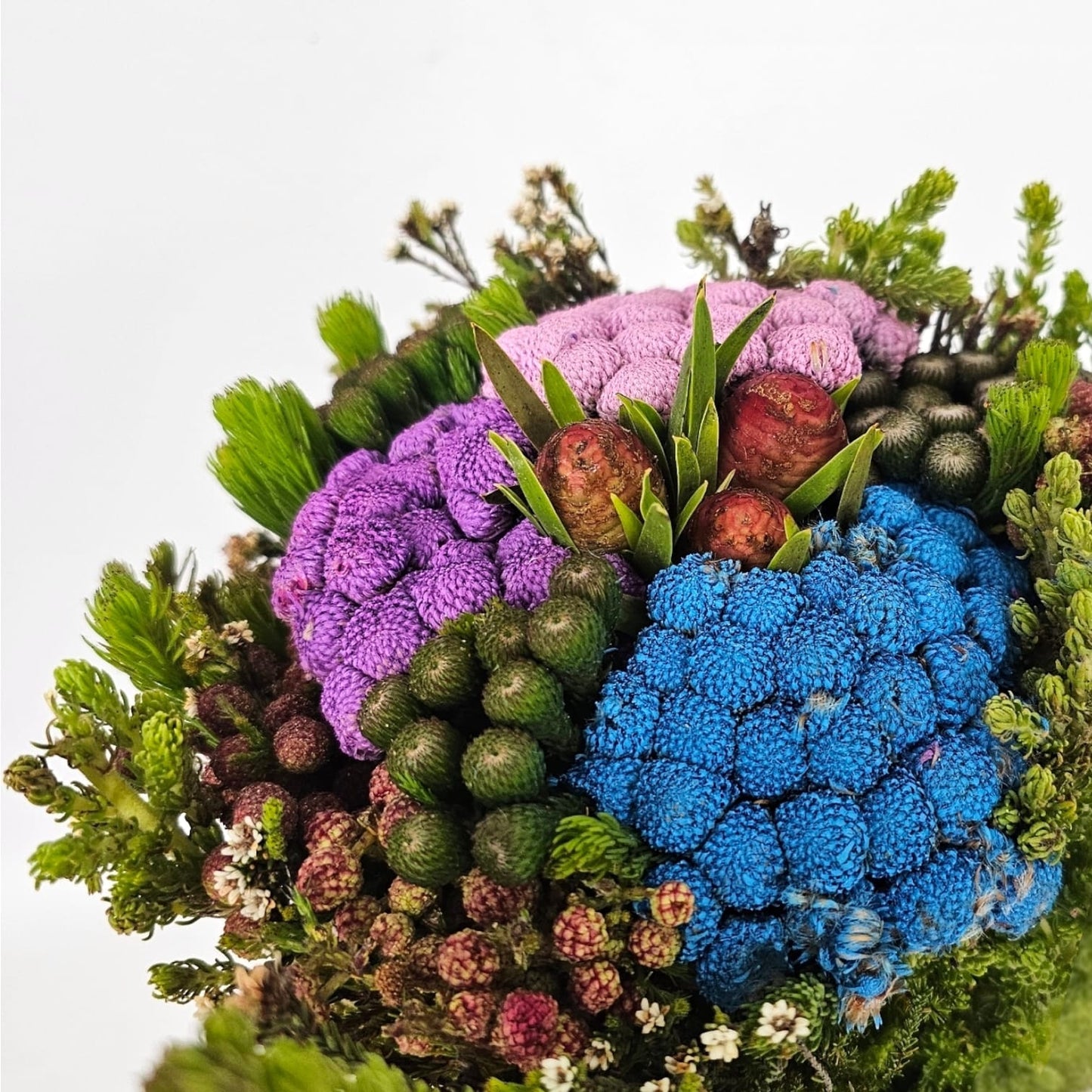 Fresh Cut Flowers at Floristika