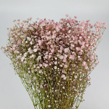 FCMVD11 - Rose Champagne, Rose Pink, Eustoma & Baby's Breath