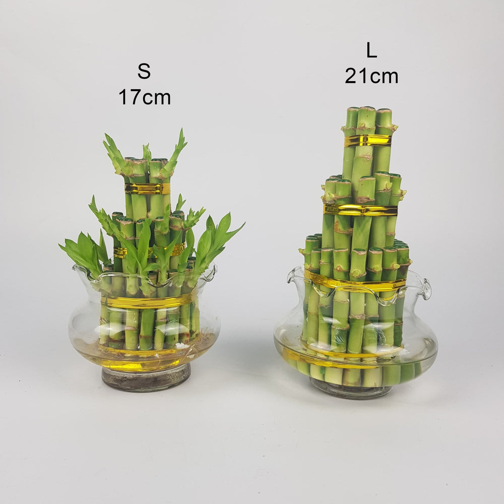 lucky bamboo tower Lotus Bamboo Tower L