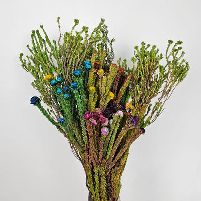 Fresh Cut Flowers at Floristika