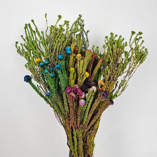 Fresh Cut Flowers at Floristika