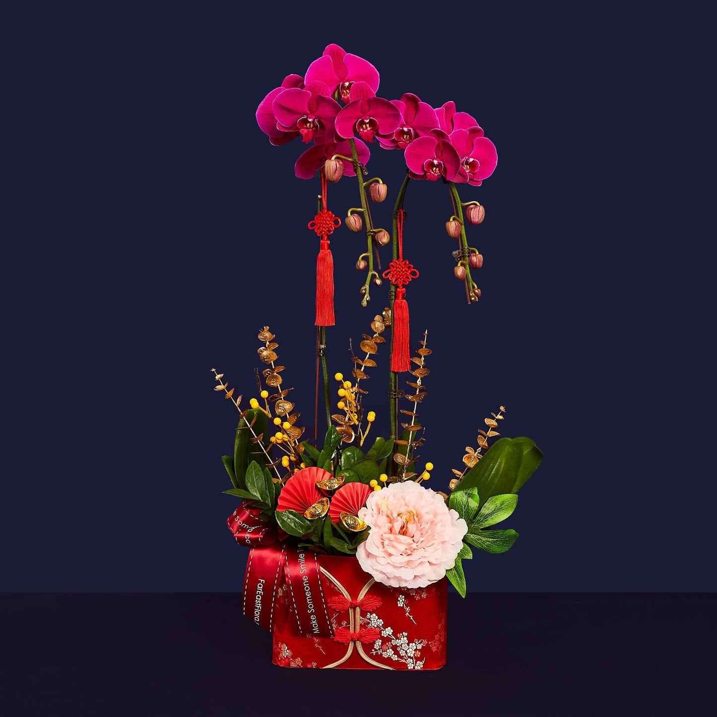 Bloom Of Longevity - Phalaenopsis