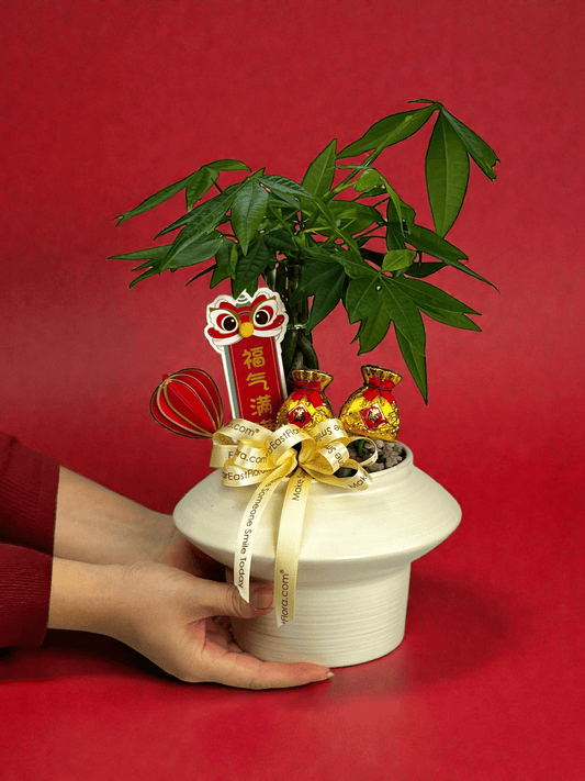 Fortune Bloom – Table Garden