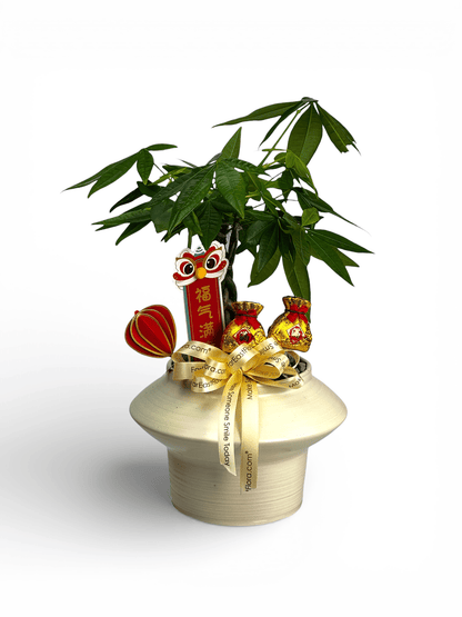 Fortune Bloom – Table Garden