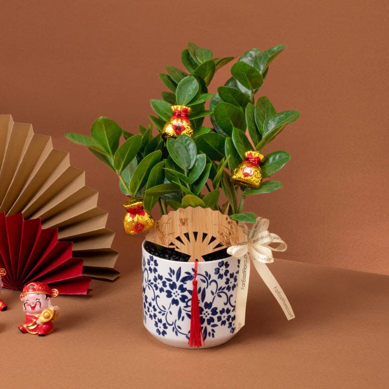 Evergreen Fortune – Table Garden