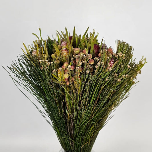 Fresh Cut Flowers at Floristika