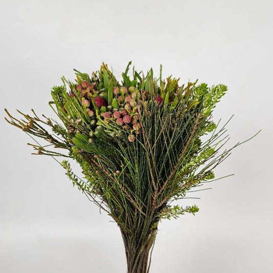 Fresh Cut Flowers at Floristika