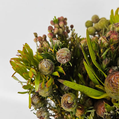 Fresh Cut Flowers at Floristika