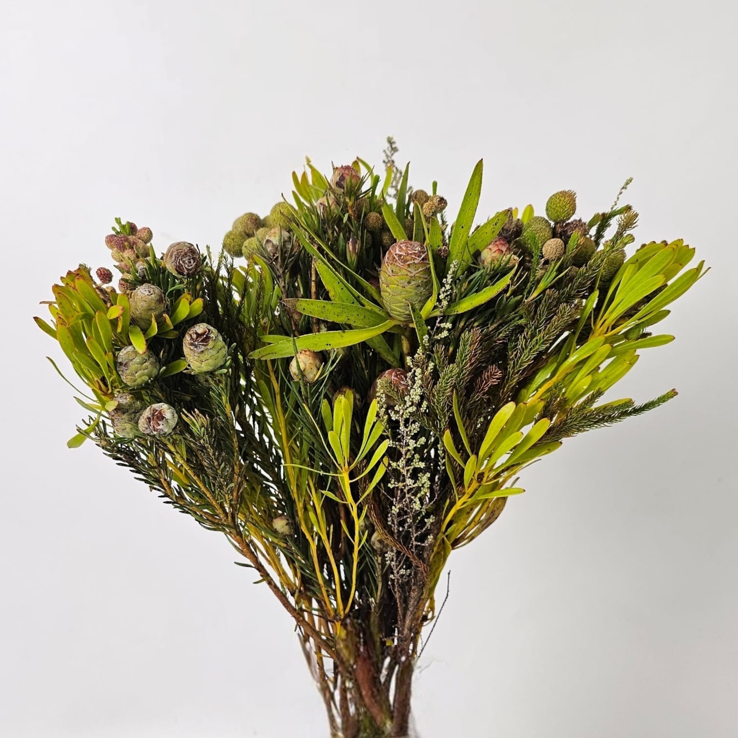 Cape Mix Natural | Fresh Mixed Flowers – Floristika