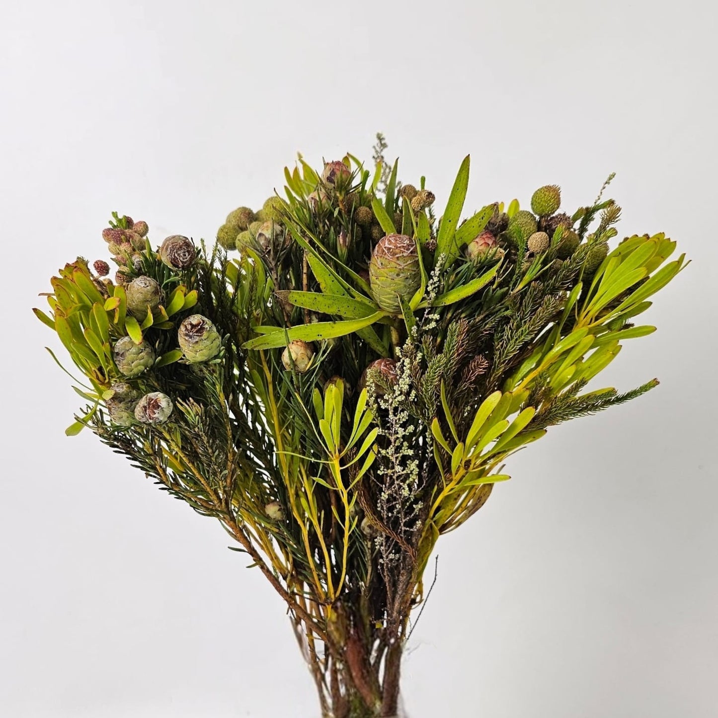 Fresh Cut Flowers at Floristika