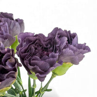 Fresh Cut Flowers at Floristika