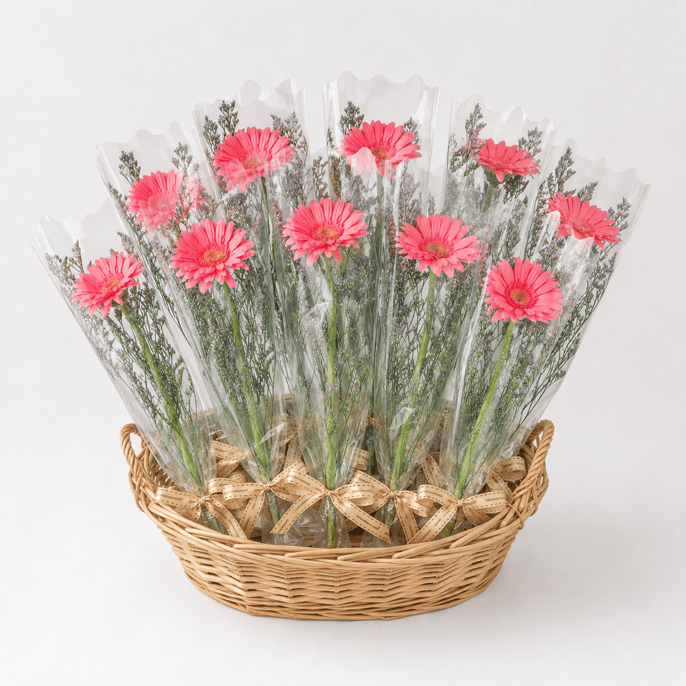 MYSS03 - Gerbera Set (10 Pcs)