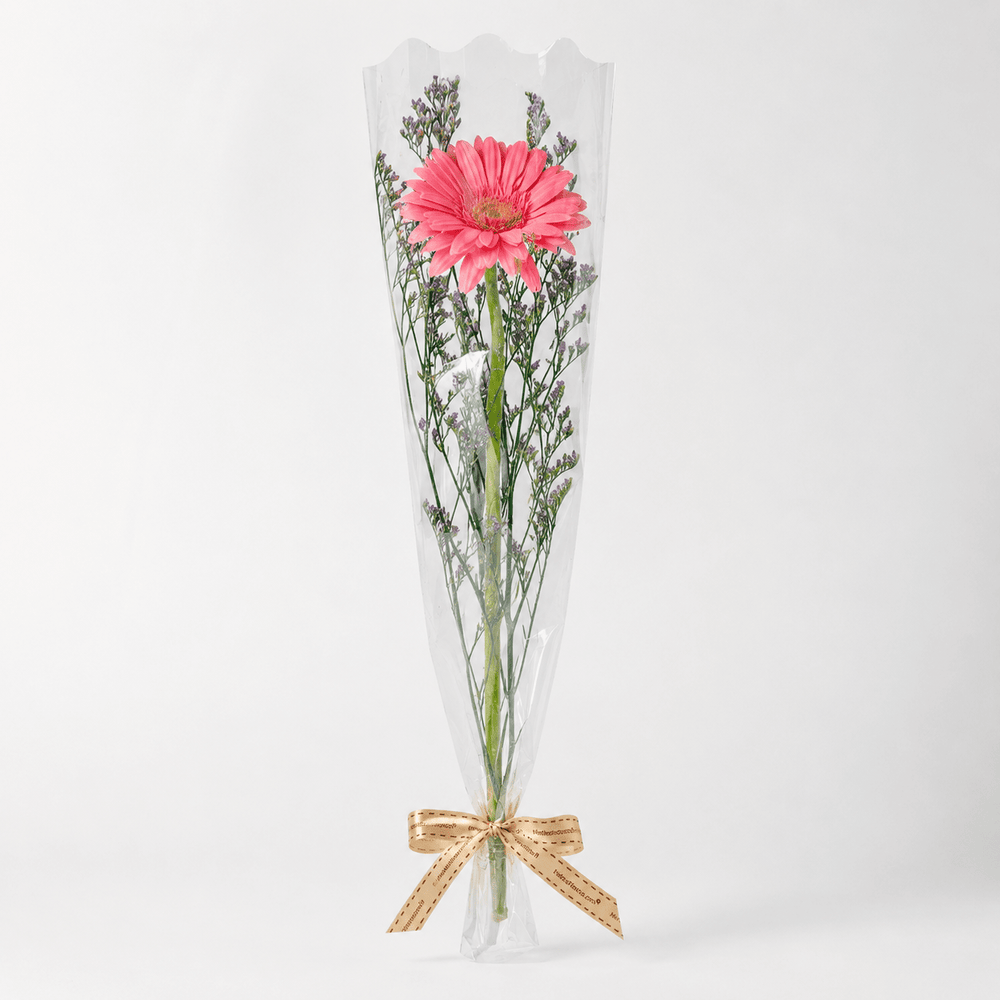 MYSS03 - Gerbera Set (10 Pcs)