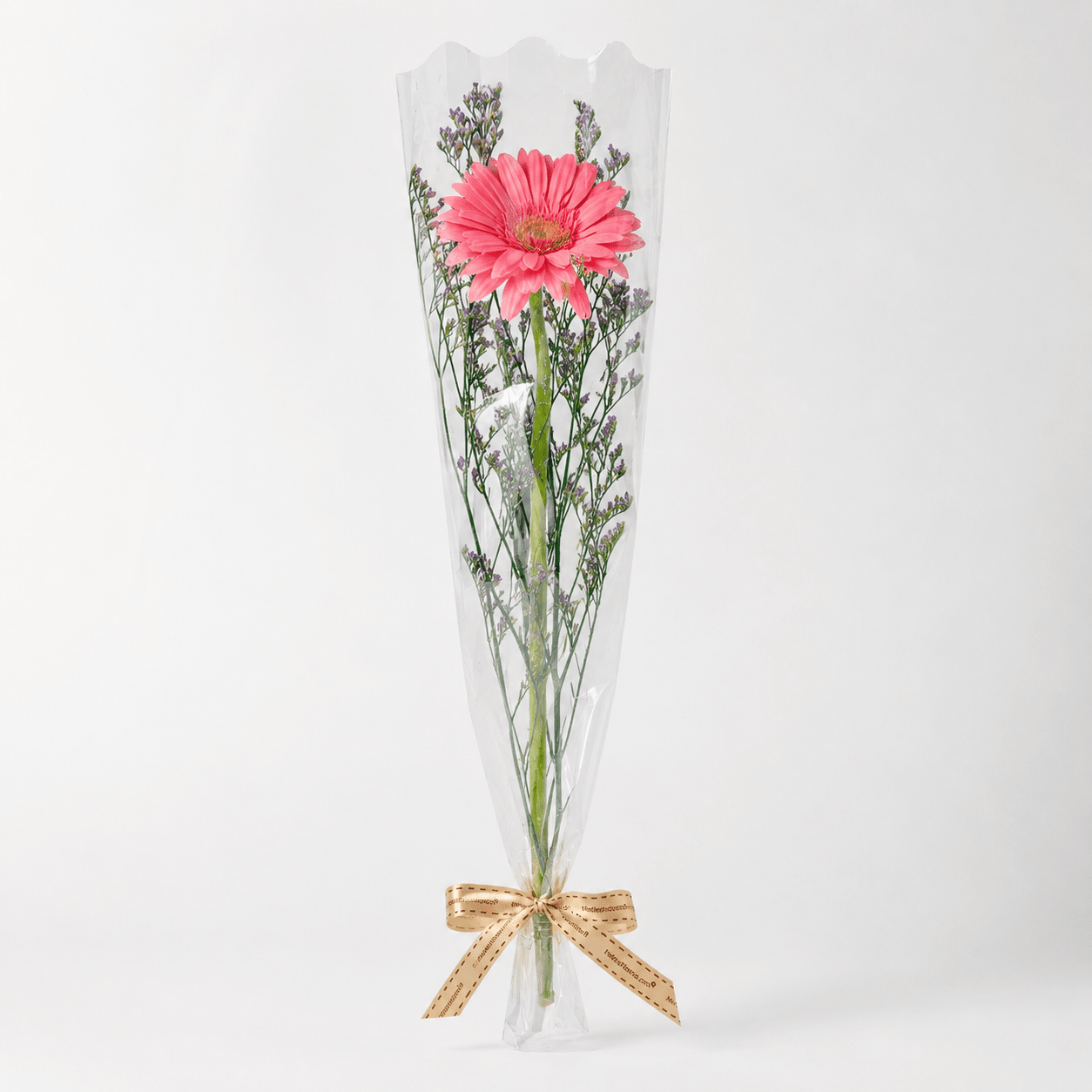 MYSS03 - Gerbera Set (10 Pcs)