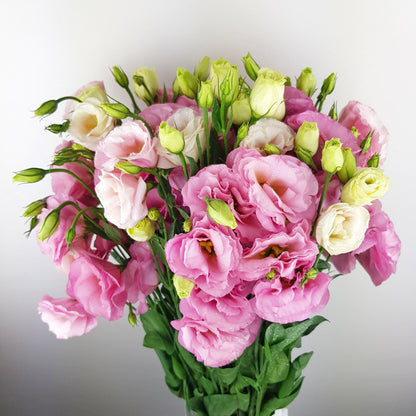 FCMVD08 - Rose, Eustoma & Carnation