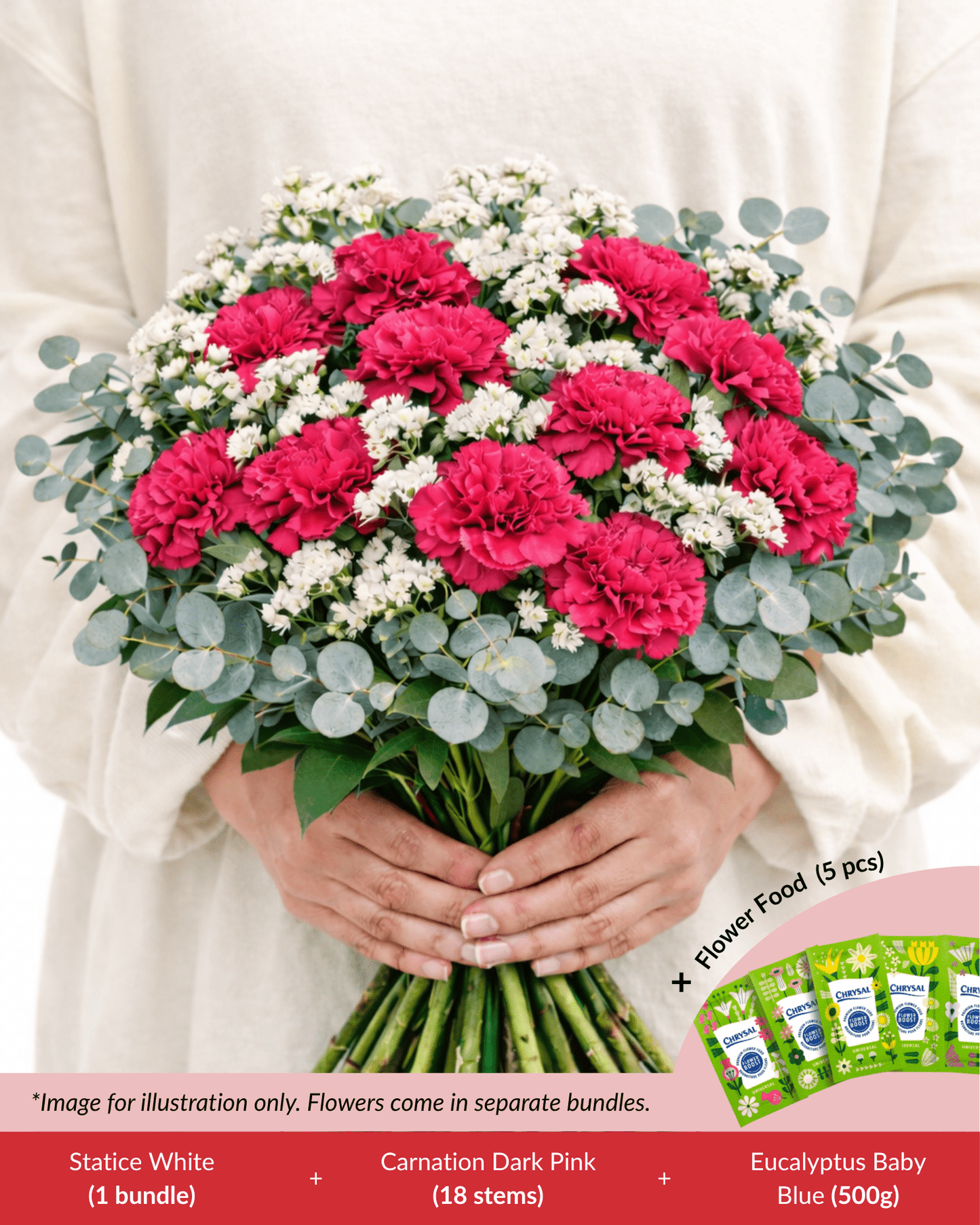 FCMMD01 -  Carnation, Statice, Eucalyptus & Flower Food