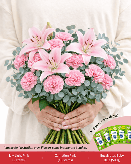 FCMMD03 - Carnation ,Lily , Eucalyptus & Flower Food