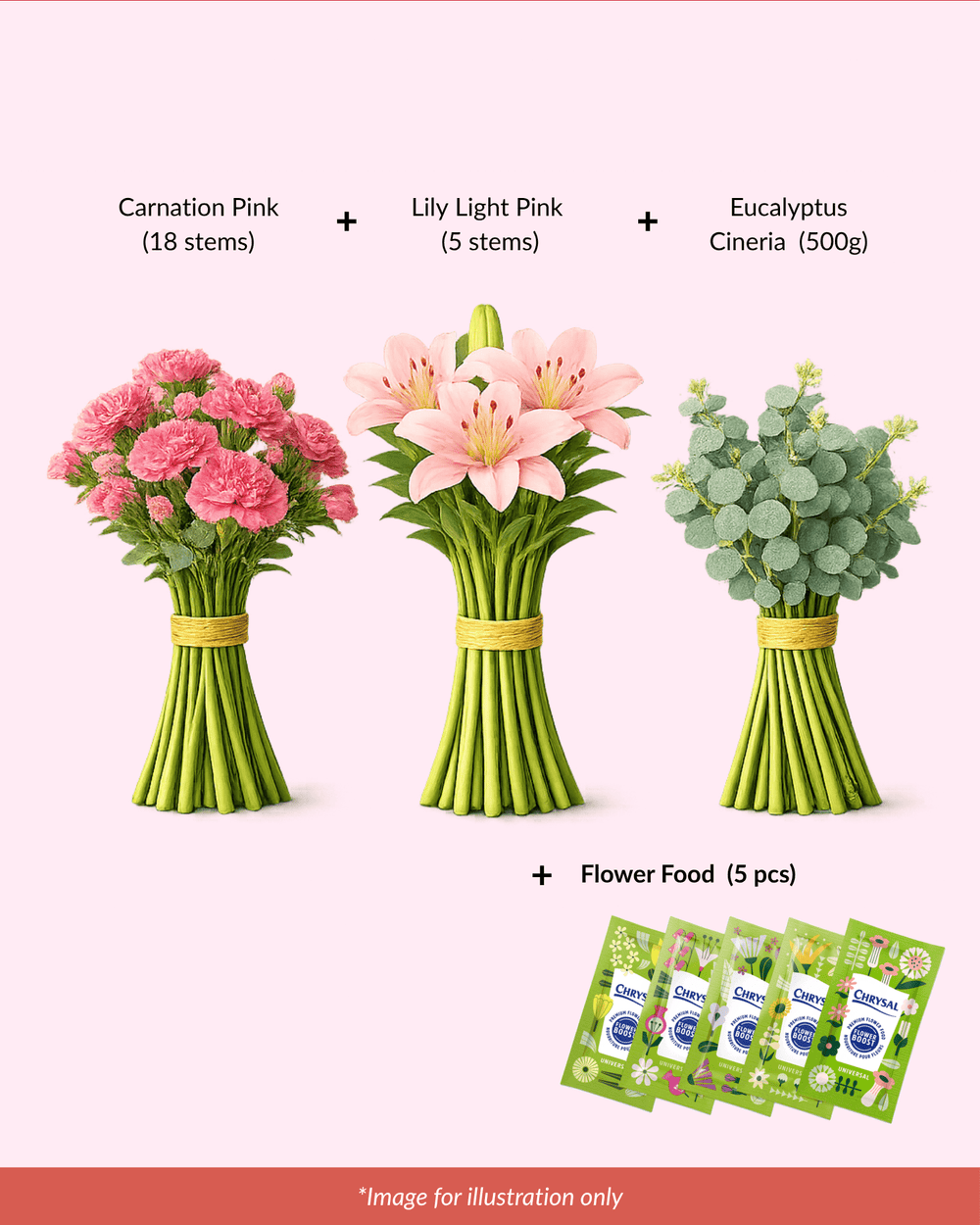 FCMMD03 - Carnation ,Lily , Eucalyptus & Flower Food