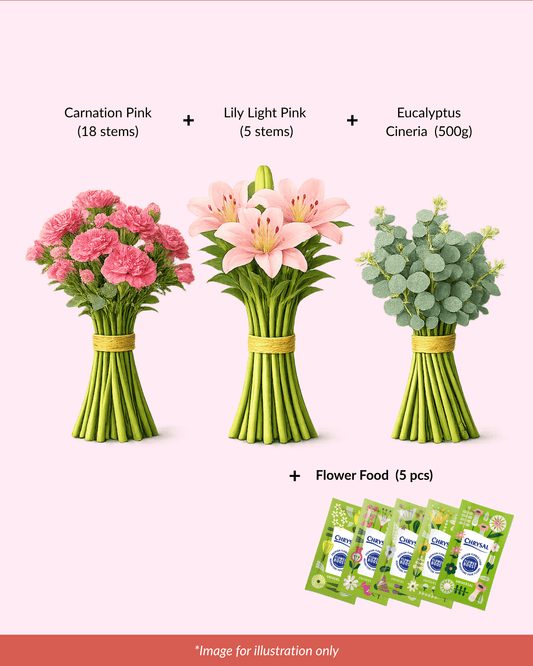 FCMMD03 - Carnation ,Lily , Eucalyptus & Flower Food