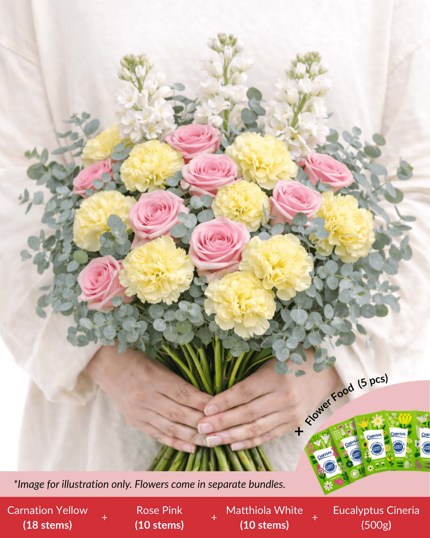 FCMMD07 - Carnation, Rose, Matthiola, Eucalyptus  & Flower Food