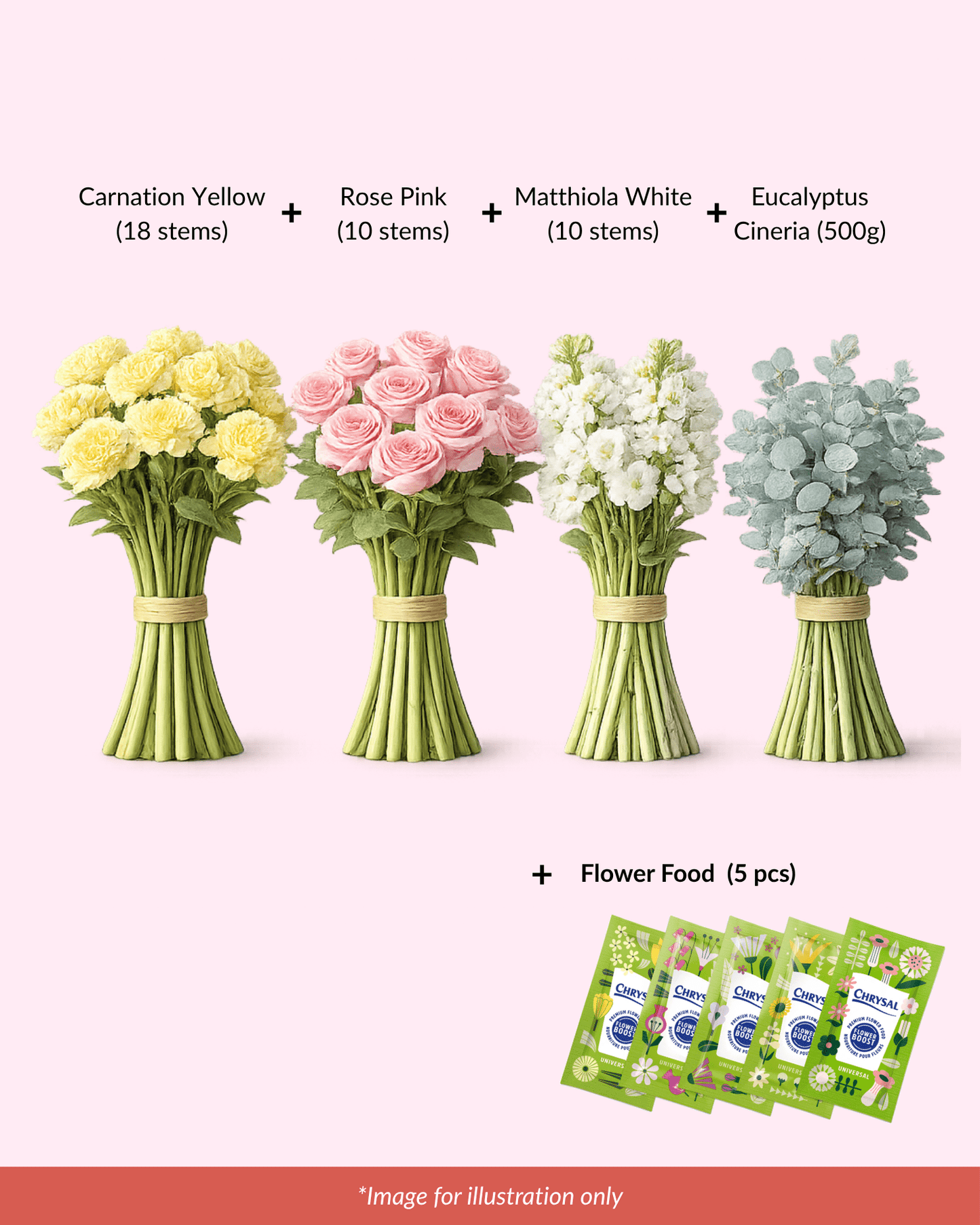 FCMMD07 - Carnation, Rose, Matthiola, Eucalyptus  & Flower Food