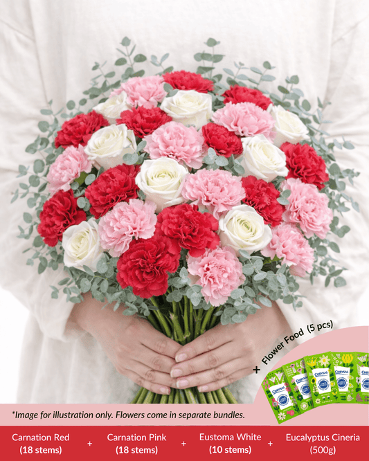 FCMMD08 - Carnation, Rose, Eucalyptus  & Flower Food