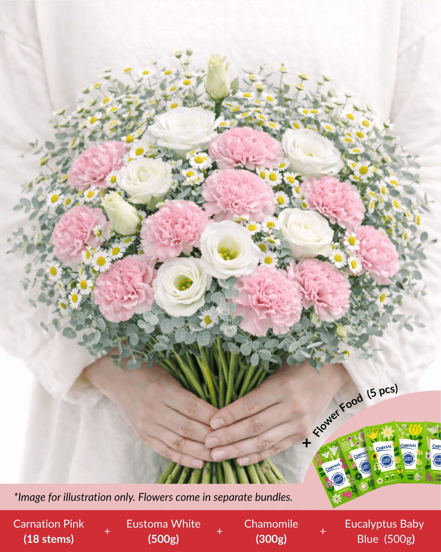 FCMMD10 - Carnation, Eustoma, Chamomile, Eucalyptus  & Flower Food