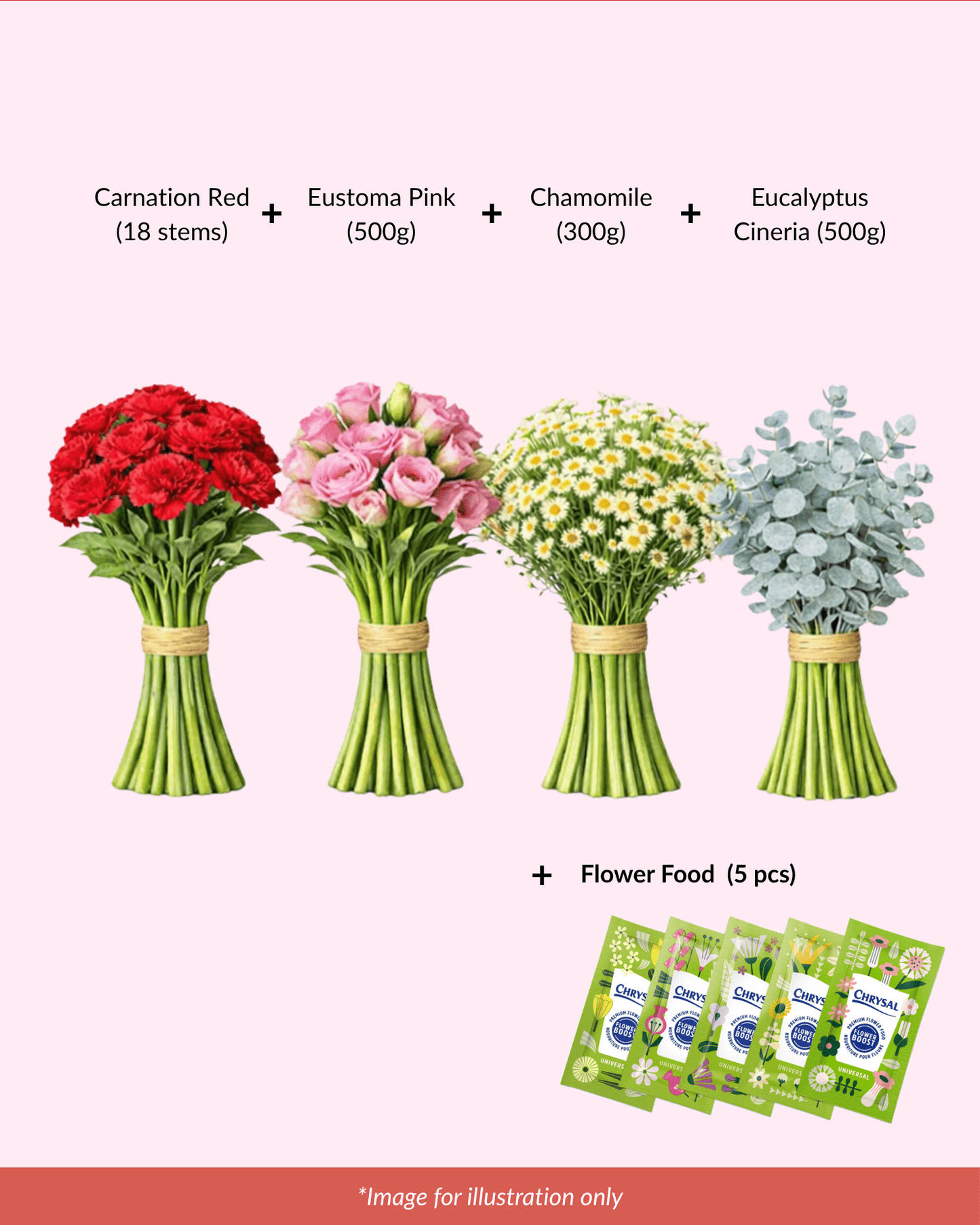 FCMMD11 - Carnation, Eustoma, Chamomile, Eucalyptus  & Flower Food