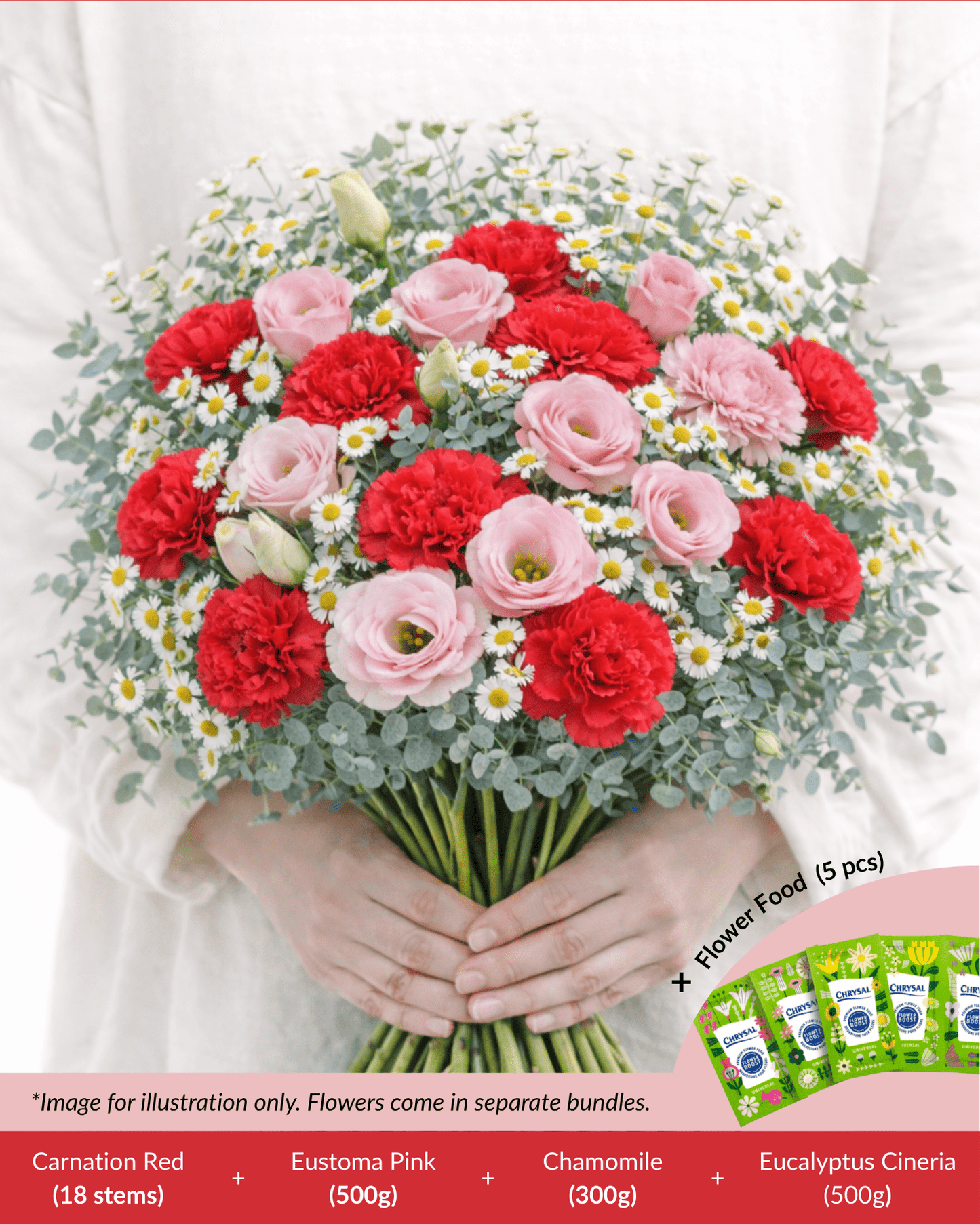 FCMMD11 - Carnation, Eustoma, Chamomile, Eucalyptus  & Flower Food