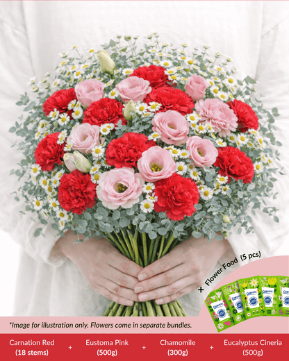 FCMMD11 - Carnation, Eustoma, Chamomile, Eucalyptus  & Flower Food