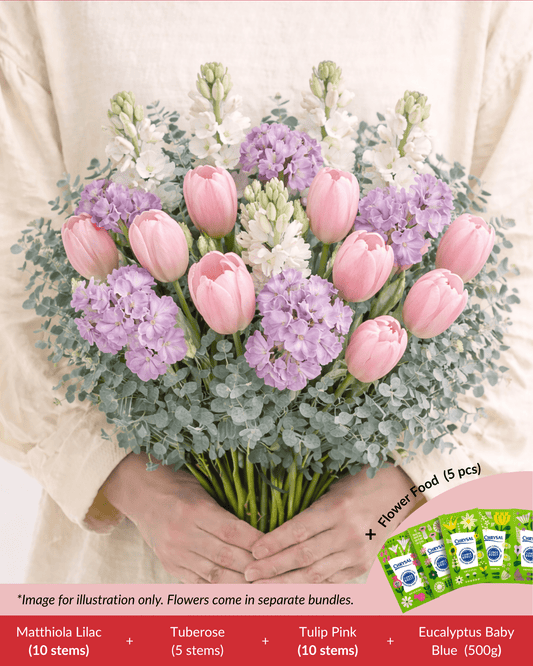 FCMMD13 - Tuberose, Matthiola, Tulip, Eucalyptus & Flower Food