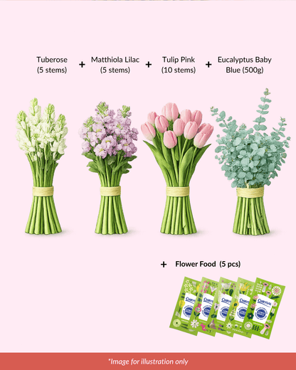 FCMMD13 - Tuberose, Matthiola, Tulip, Eucalyptus & Flower Food