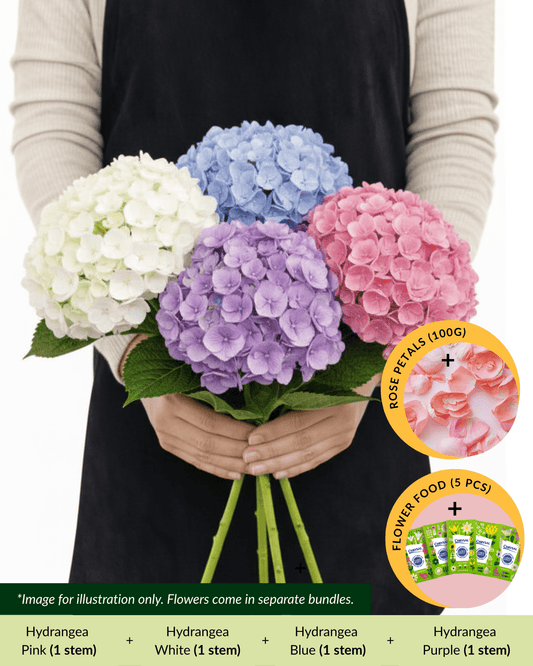 FCMRY05 - Hydrangea Blue, Pink, Purple & White