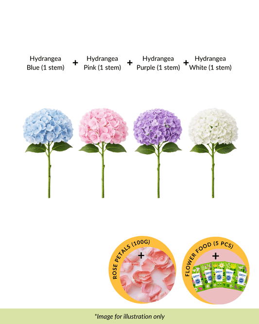 FCMRY05 - Hydrangea Blue, Pink, Purple & White