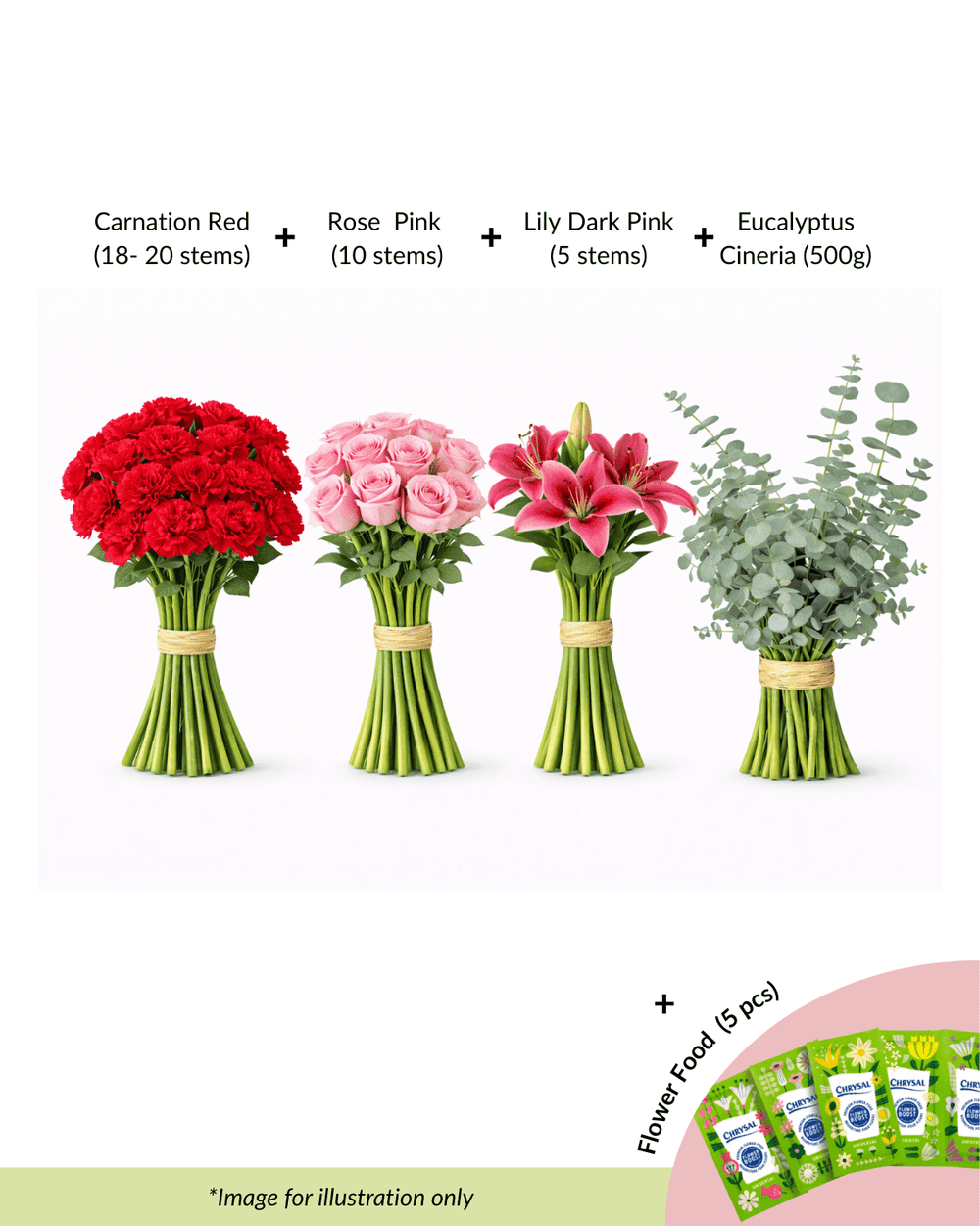 FCMRY13 - Carnation, Rose, Lily & Eucalyptus