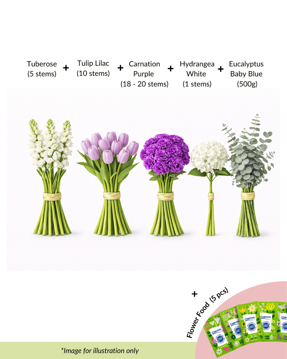 FCMRY19 - Tuberose, Tulip, Carnation, Hydrangea & Eucalyptus