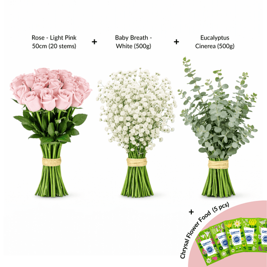 [Pre-Order] FCMVD02 - Rose, Baby' Breath & Eucalyptus