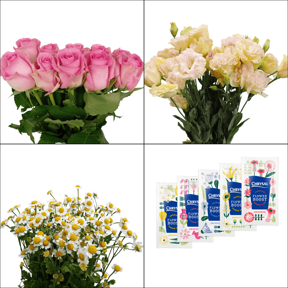 FCMVD03 - Rose, Eustomas & Chamomile