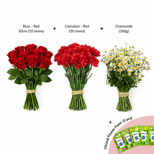 [Pre-Order] FCMVD05 - Rose, Carnation & Chamomile