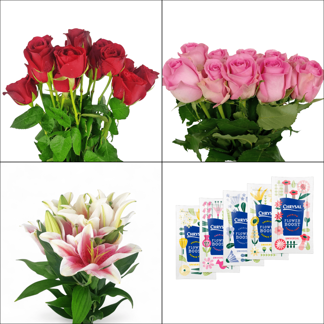 FCMVD07 - Rose Red, Rose Pink & Lily